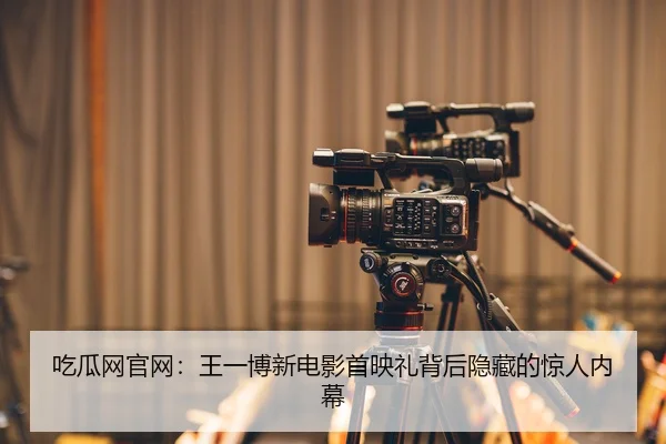吃瓜网官网：王一博新电影首映礼背后隐藏的惊人内幕